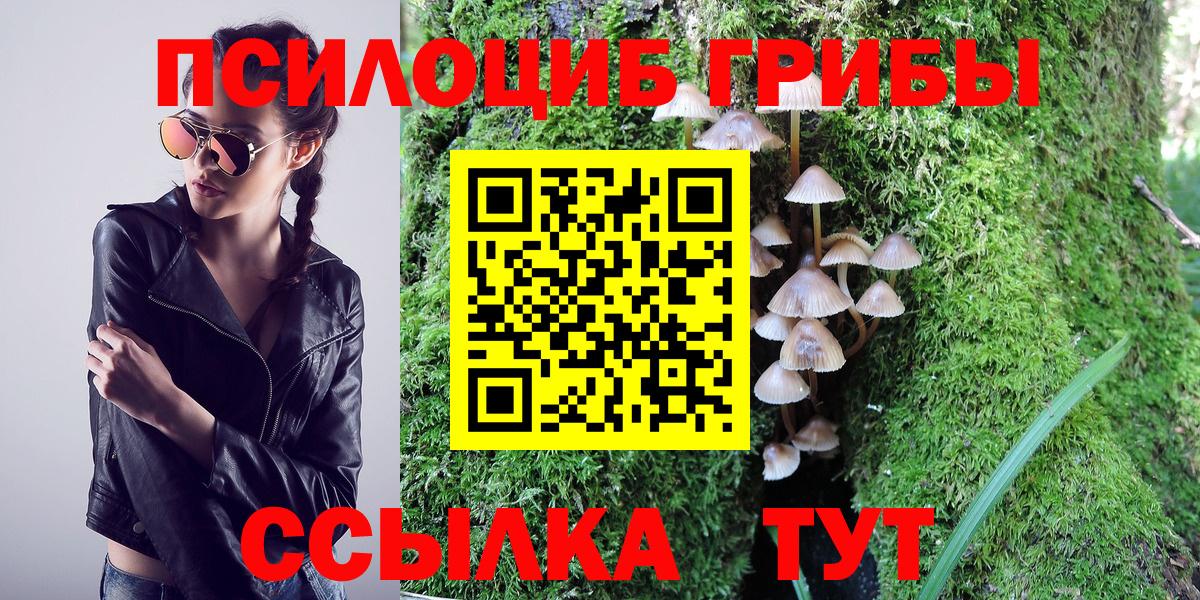 Углич  наркотики  Вход с VPN  Псилоцибиновые грибы мицелий 